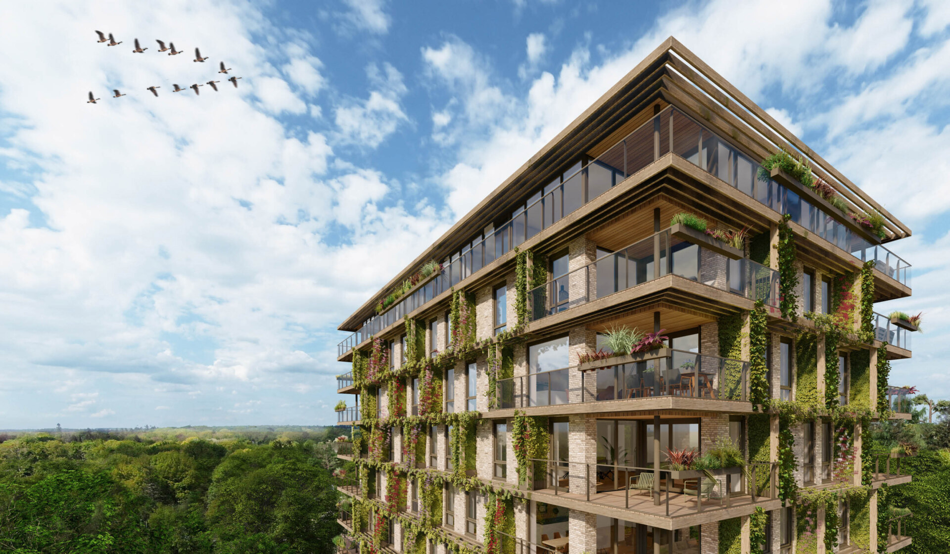 WFC Ede Vlek N | Ede 